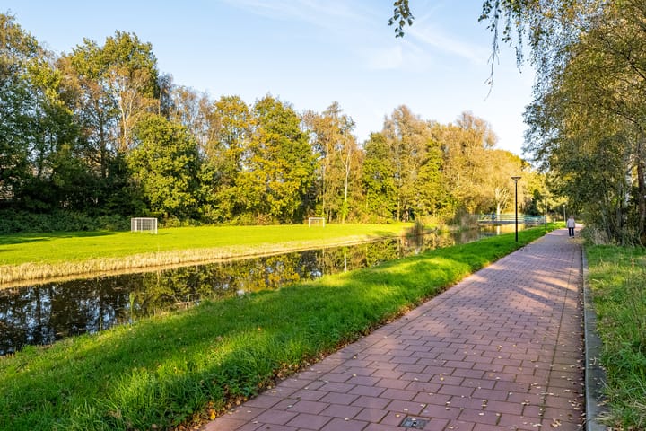 Foto 31 van Muskuskruid 26