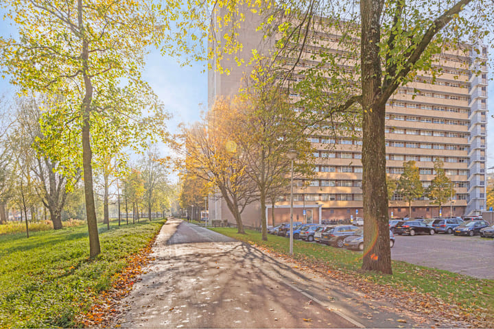 Foto 3 van Langswater 577