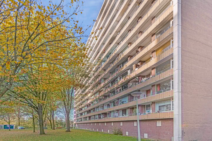 Foto 26 van Langswater 577