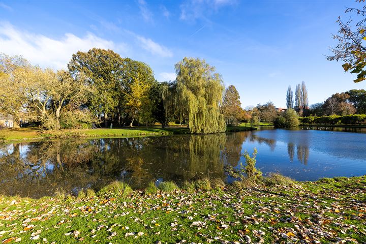 Bekijk foto 4 van Horstsingel 52