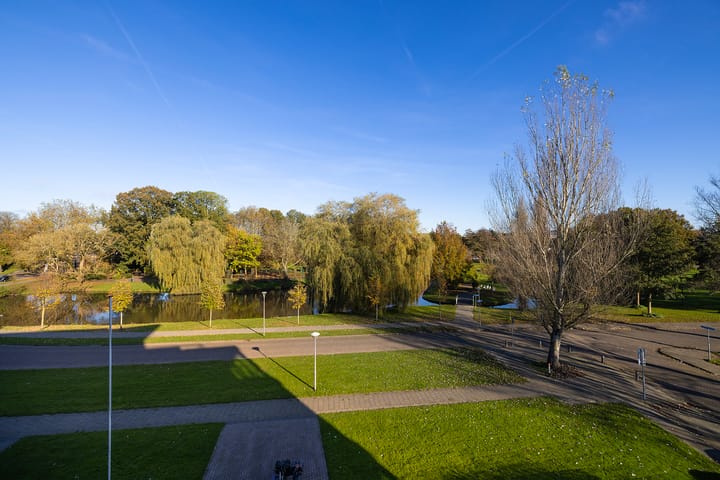 Foto 18 van Horstsingel 52