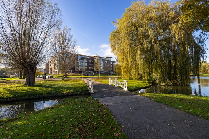 Foto 30 van Horstsingel 52