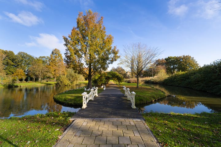 Foto 31 van Horstsingel 52