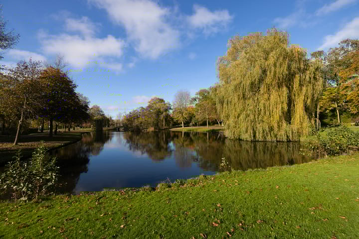 Foto 34 van Horstsingel 52