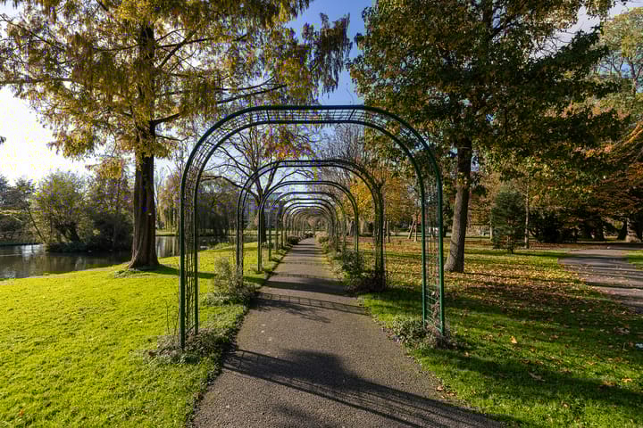 Foto 35 van Horstsingel 52