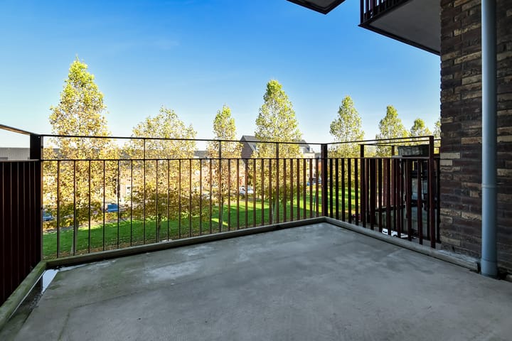 Foto 3 van Basilica 73