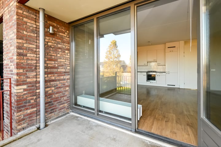 Foto 9 van Basilica 73