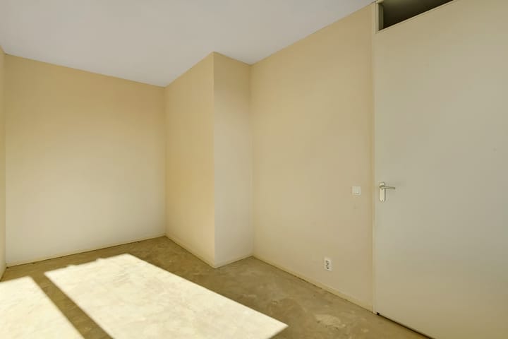 Foto 14 van Basilica 73