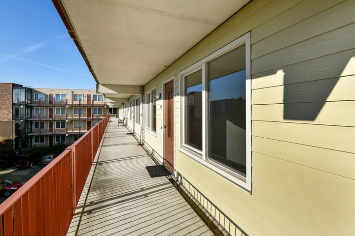 Foto 20 van Basilica 73