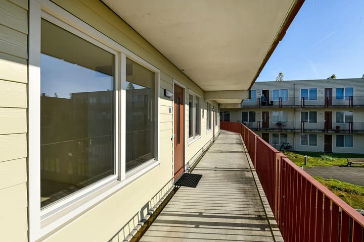 Foto 21 van Basilica 73