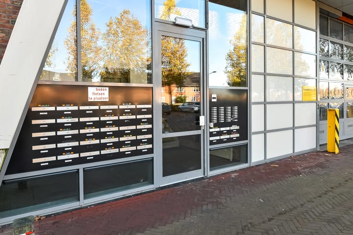 Foto 24 van Basilica 73