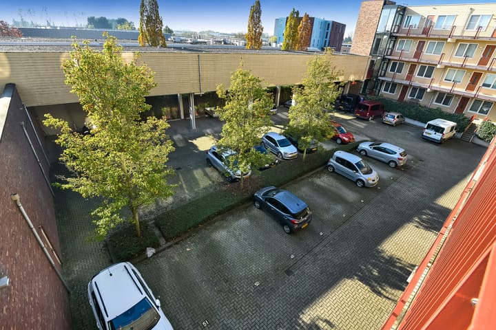 Foto 27 van Basilica 73