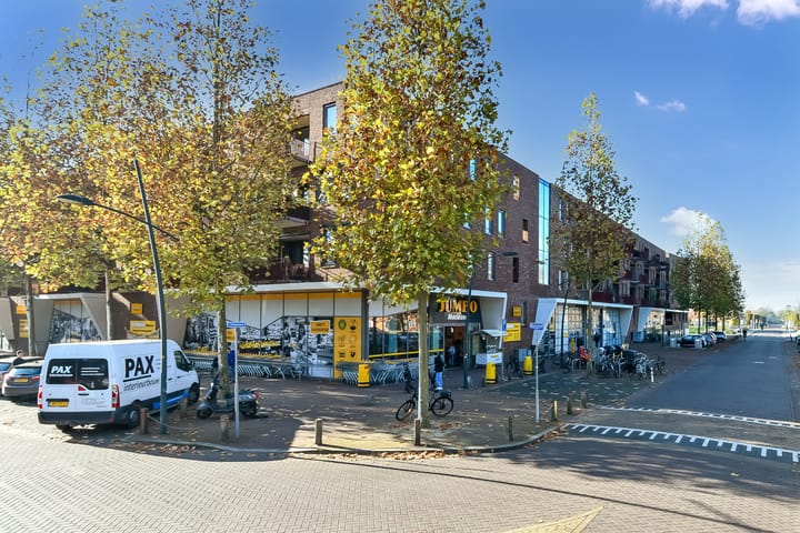 Foto 31 van Basilica 73