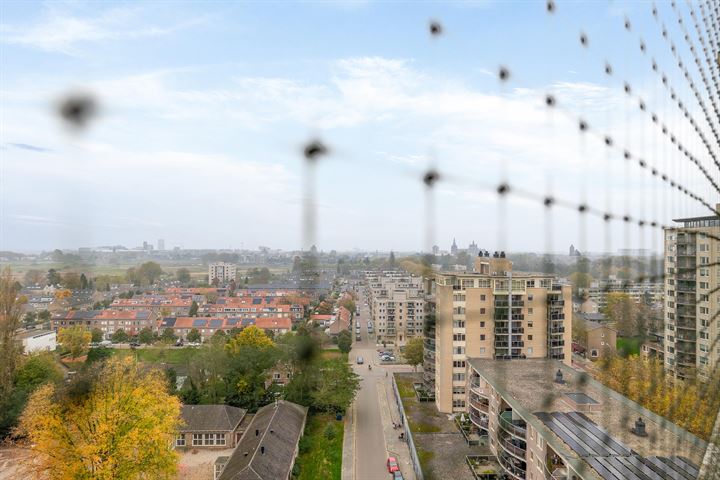 Bekijk foto 32 van Sweelinckplein 134