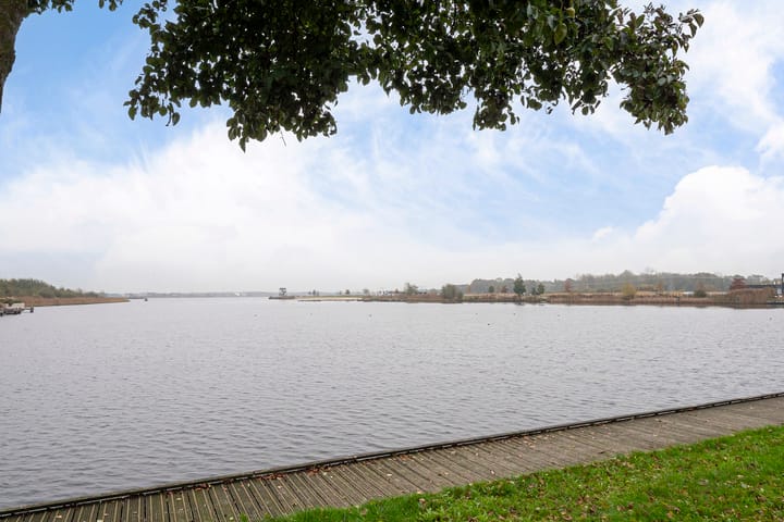 Foto 2 van Valeriaan 3