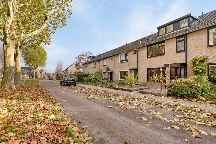 Foto 6 van Narcissenstraat 41