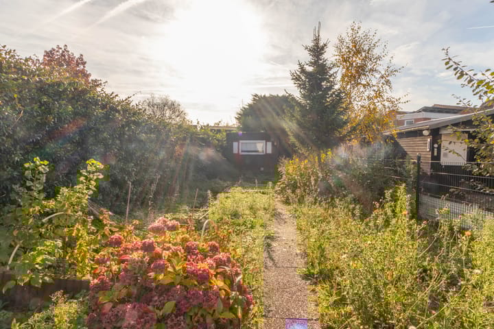 Foto 29 van Westdam 25