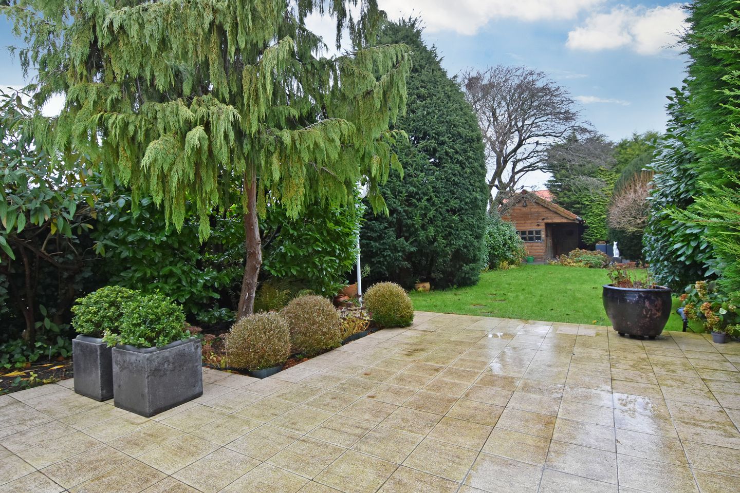 Foto 4 van Dr Weitjenslaan 89