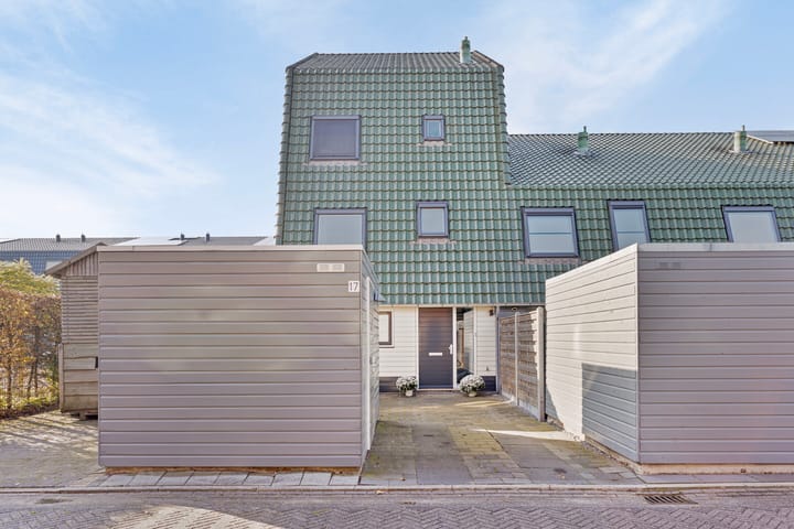 Foto 50 van Dreesplein 17