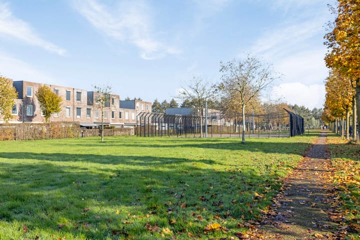 Foto 57 van Dreesplein 17