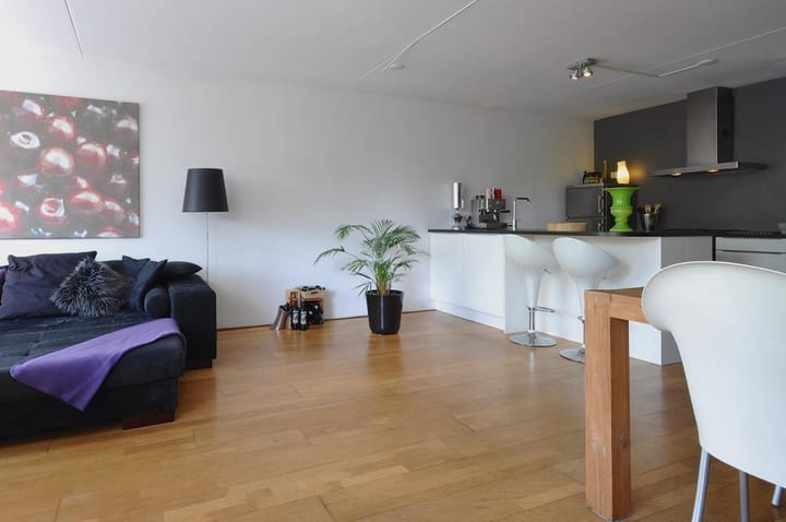 Foto 3 van Turfsingel 58-B