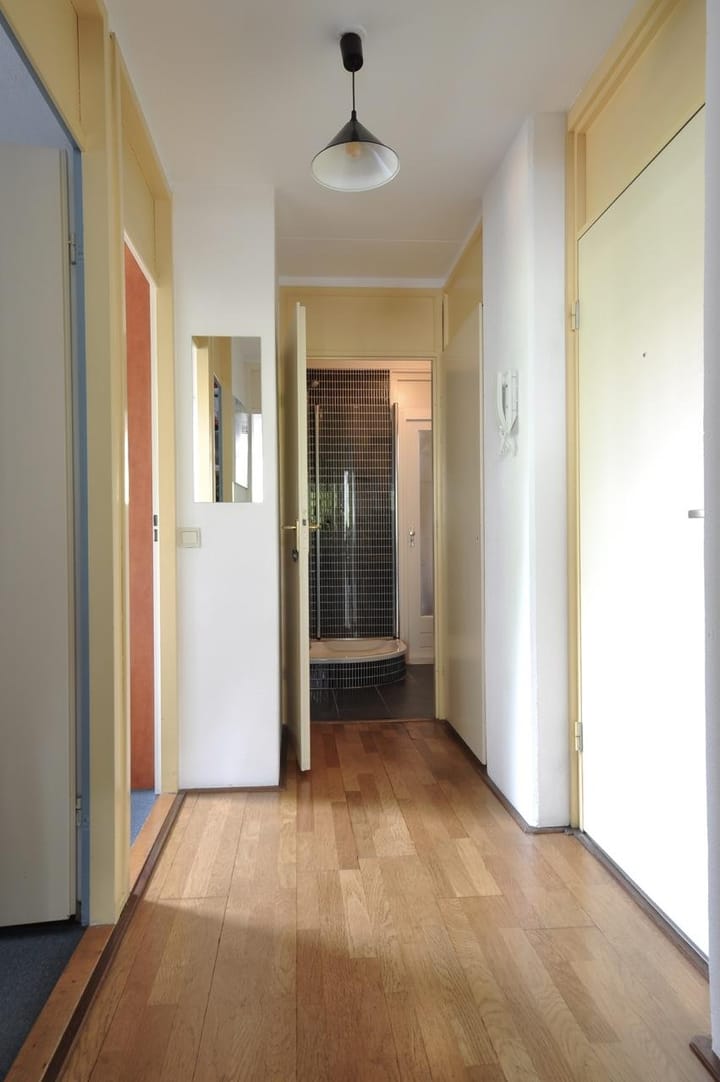 Foto 10 van Turfsingel 58-B