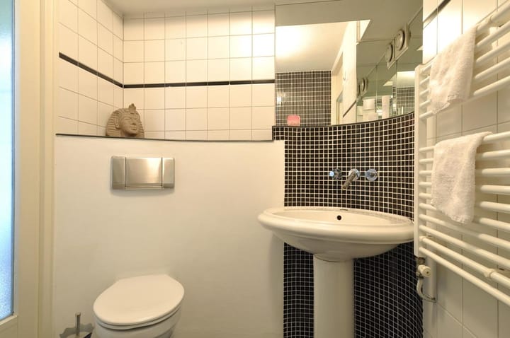 Foto 12 van Turfsingel 58-B