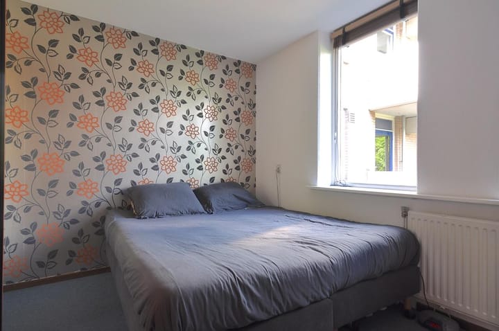 Foto 15 van Turfsingel 58-B