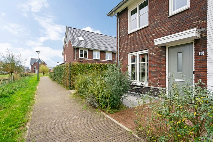 undefined main image
