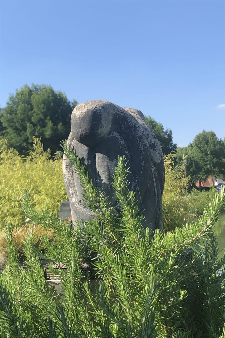 Foto 50 van Forelgracht 33