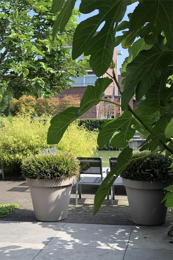 Foto 51 van Forelgracht 33