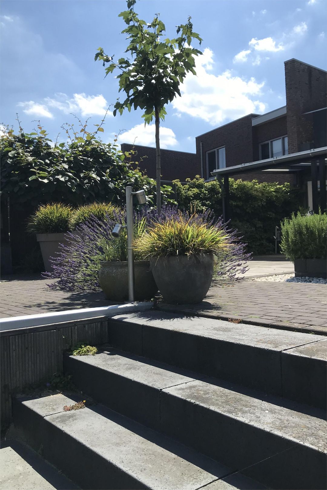 Foto 52 van Forelgracht 33