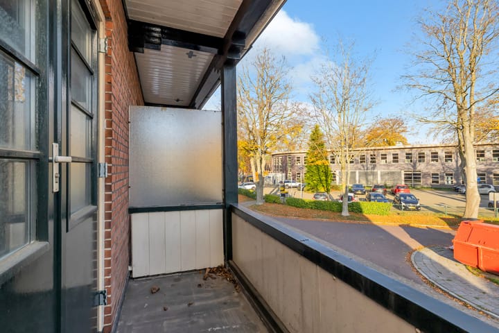 Foto 33 van Ds. Petersenstraat 13