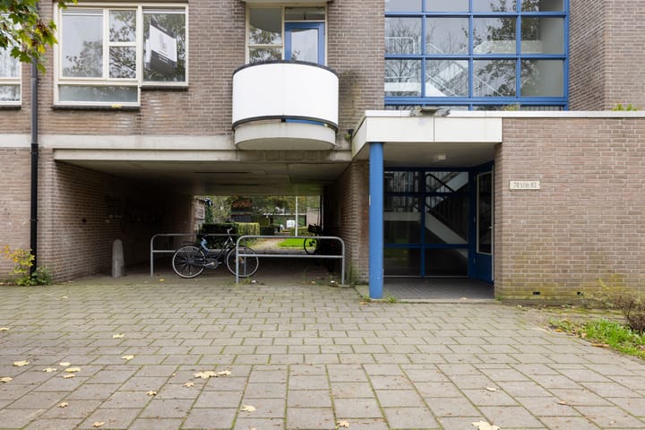 Foto 27 van Wamelstraat 80