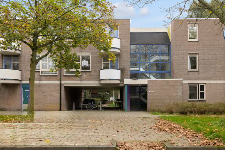 Foto 28 van Wamelstraat 80