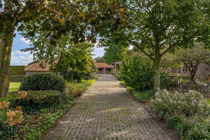 Foto 34 van Koelstraat 2