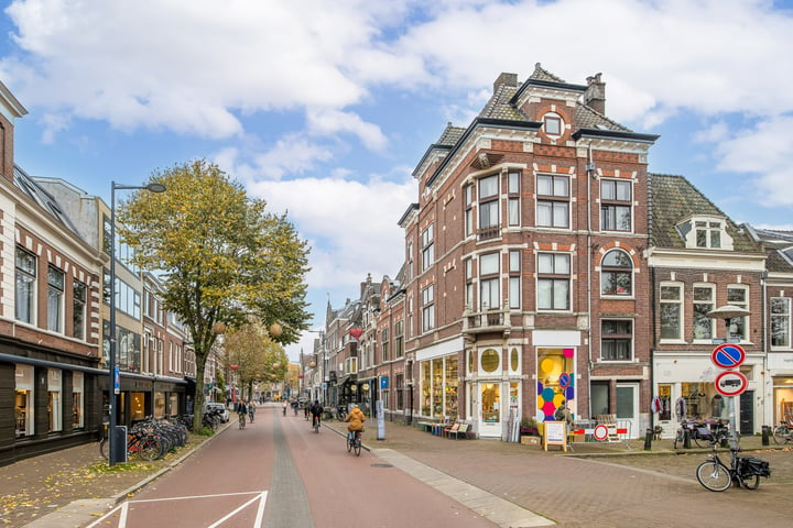 View photo 48 of Burgemeester Reigerstraat 10-B