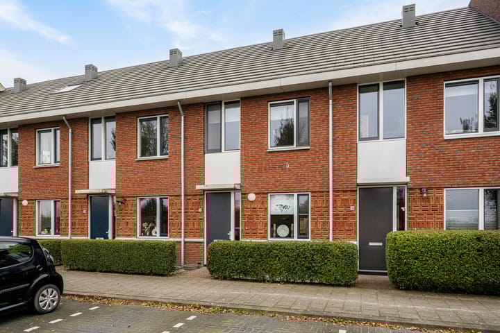 Foto 4 van Meerval 117