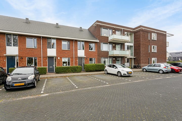 Foto 5 van Meerval 117