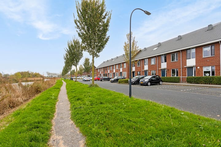 Foto 7 van Meerval 117