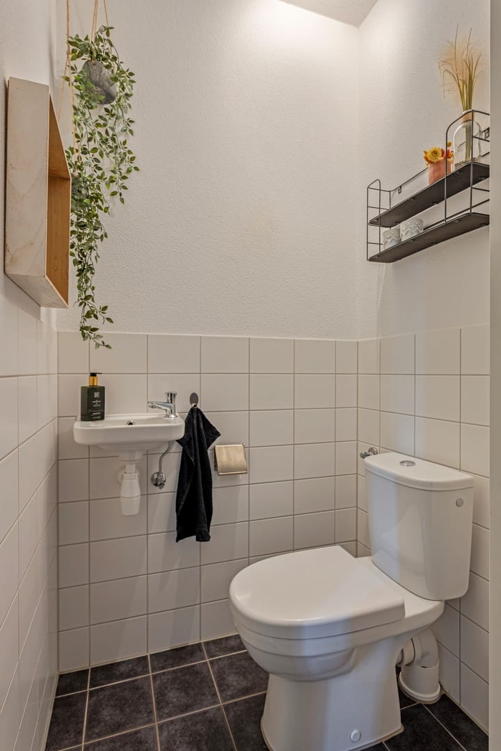 Foto 10 van Meerval 117