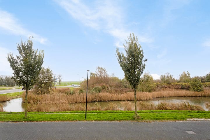 Foto 30 van Meerval 117