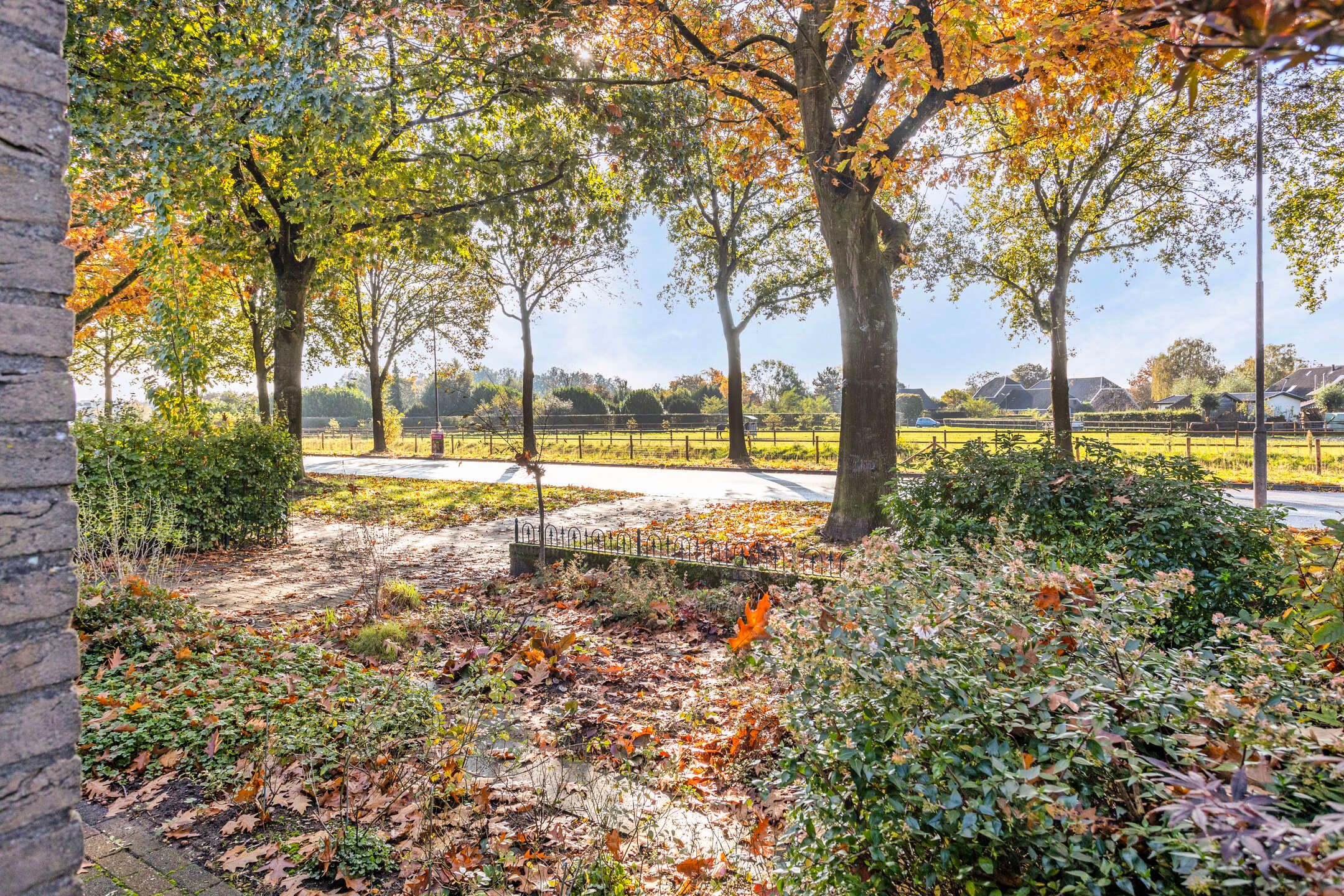 Photo 6 of Oranjeweg 216-A