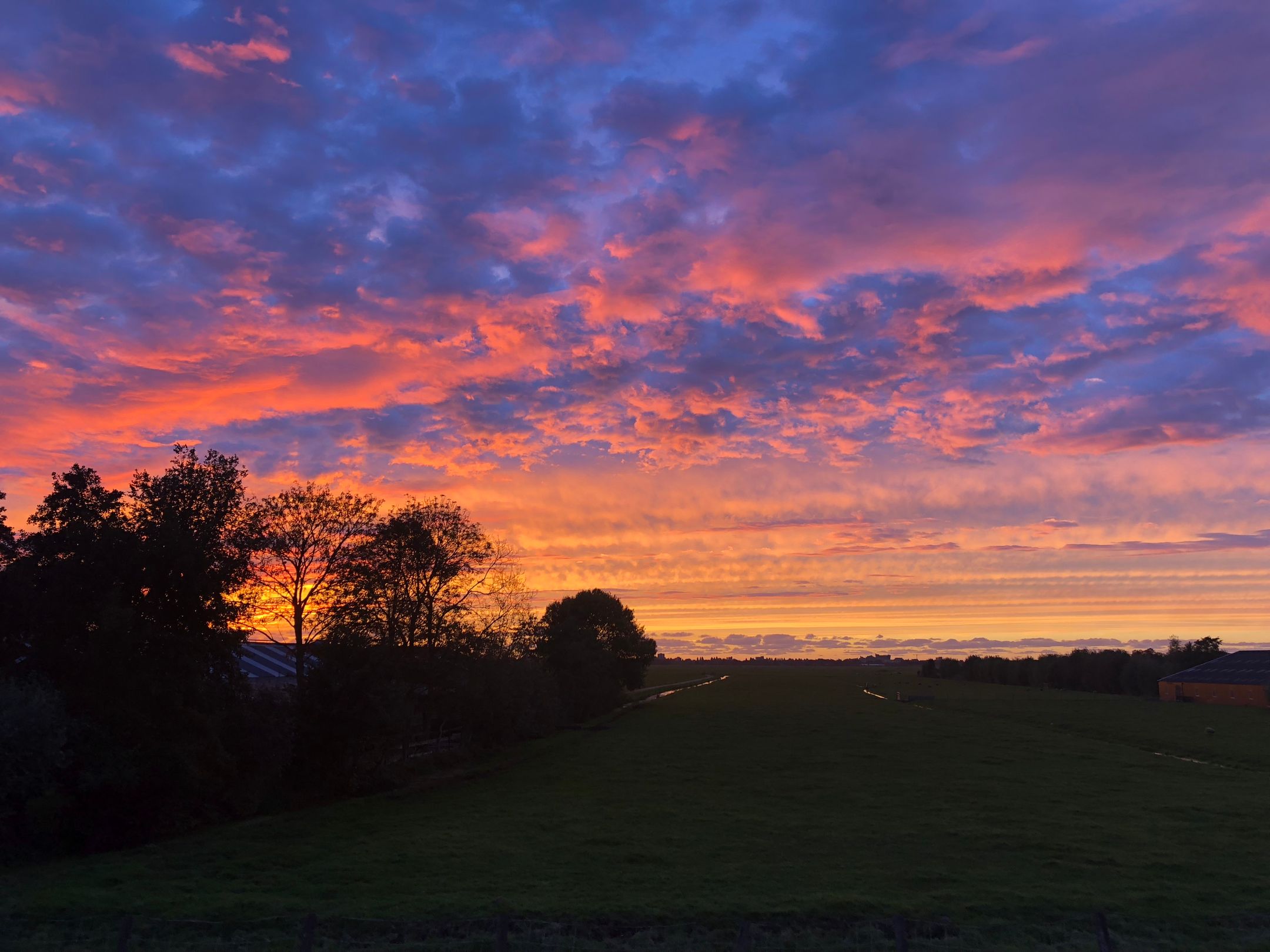 Photo 51 of Waver 42