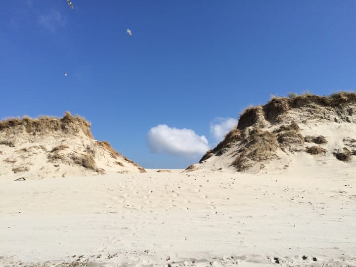 Foto 50 van Postweg 4