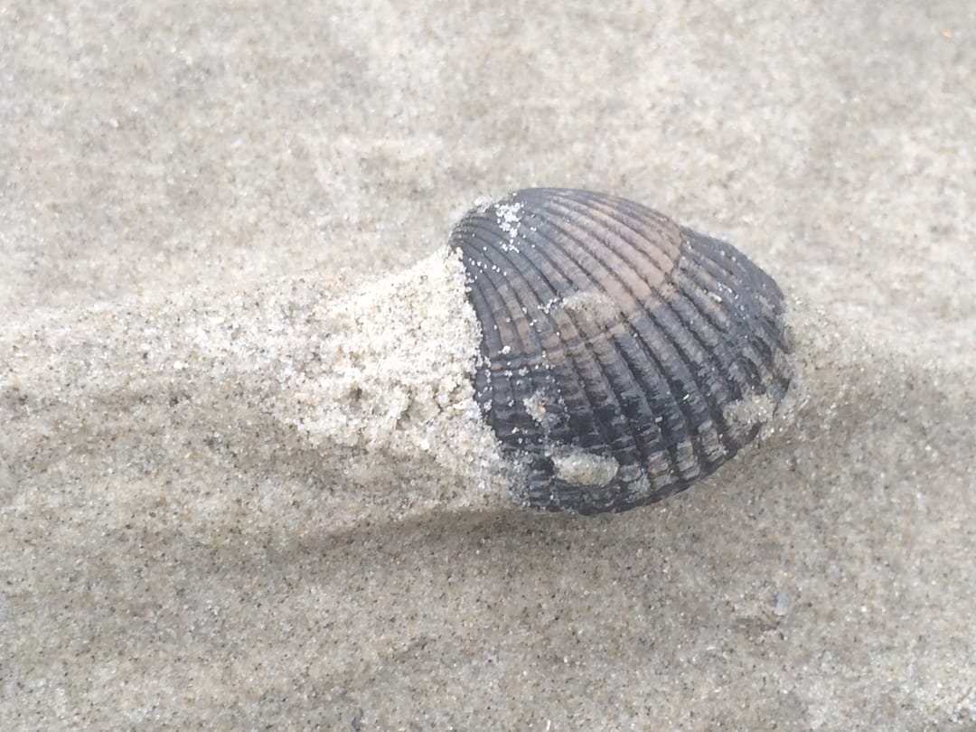 Foto 52 van Postweg 4