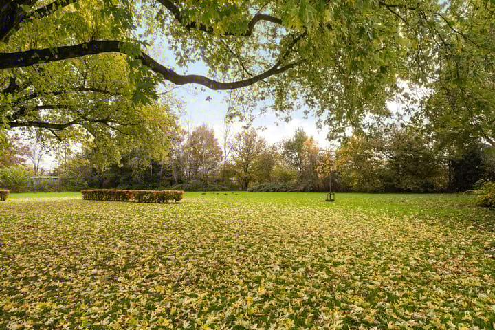 Foto 26 van Lavendelstraat 13