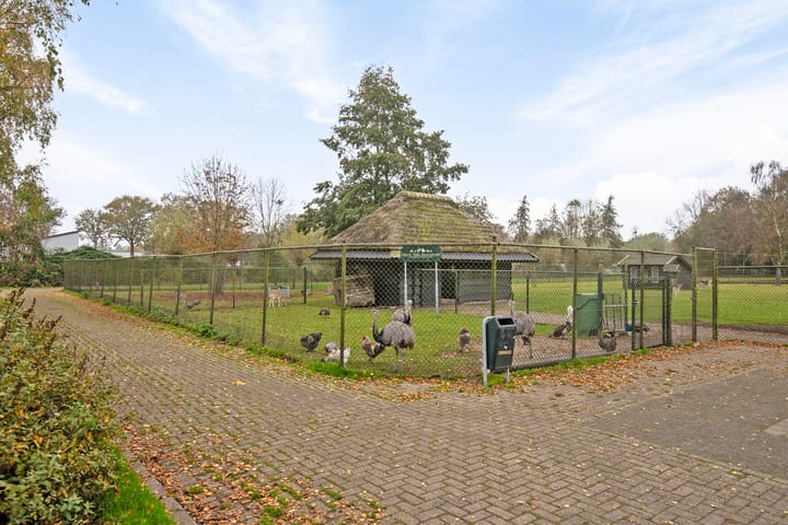 Foto 31 van Lijsterstraat 23