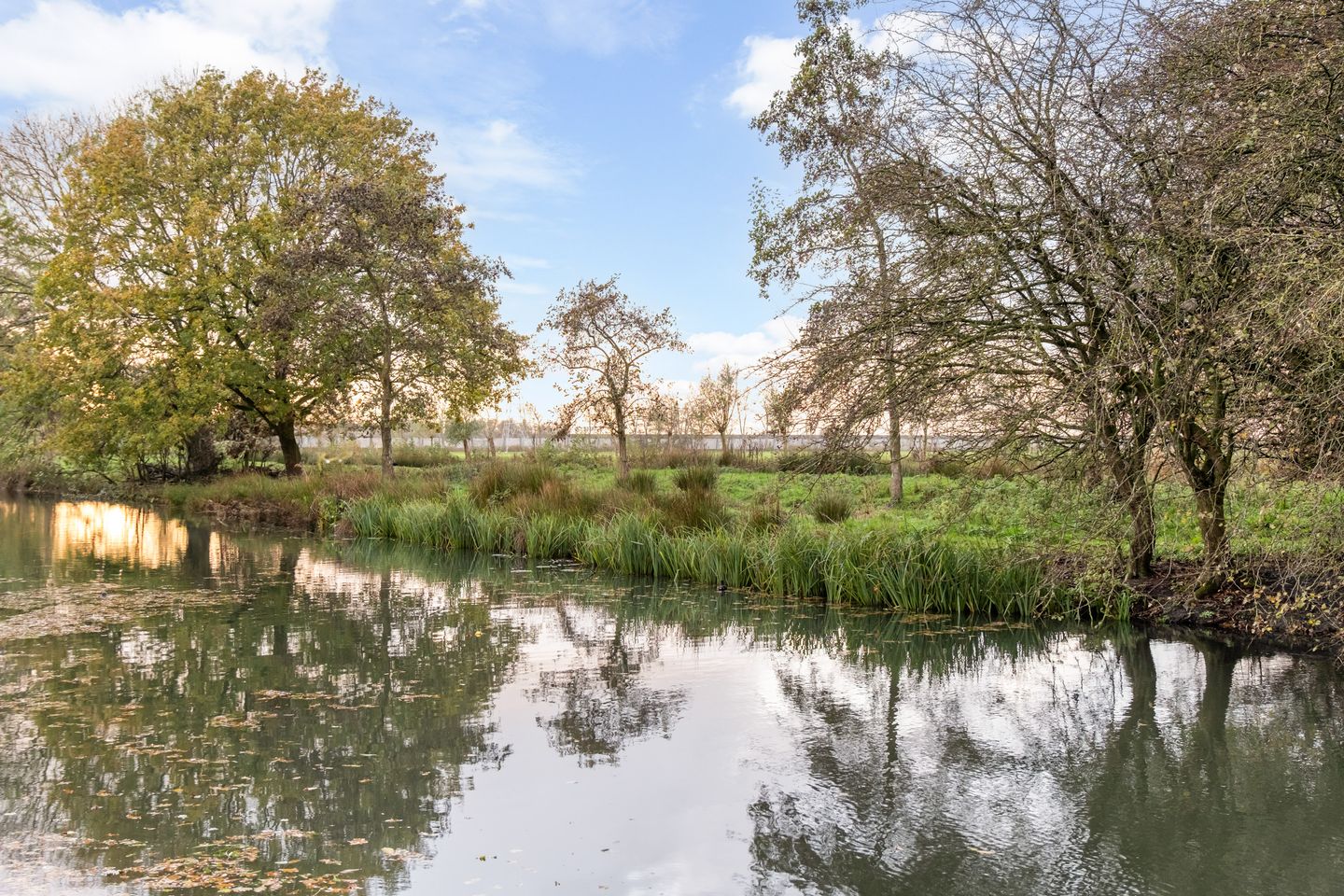 Foto 5 van Zwanenkamp 783