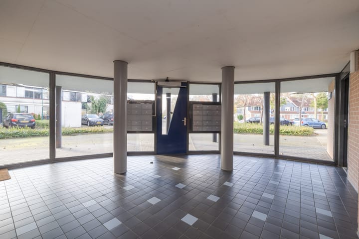 Foto 3 van Aalscholver 23